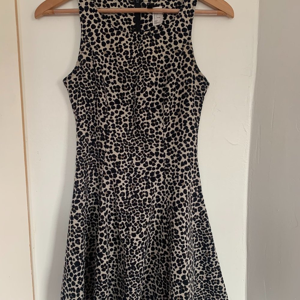 Leopard Print Dress